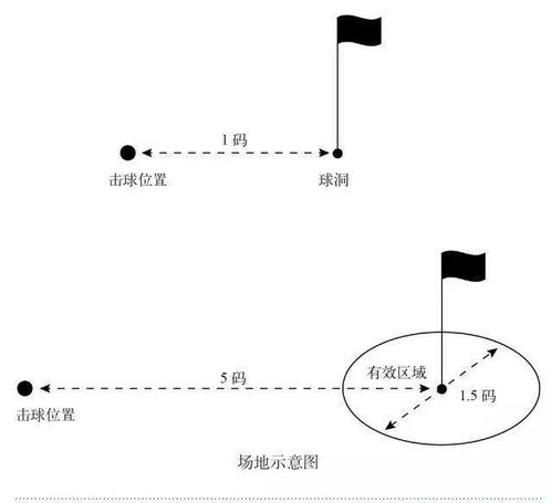 高尔夫球中间是什么