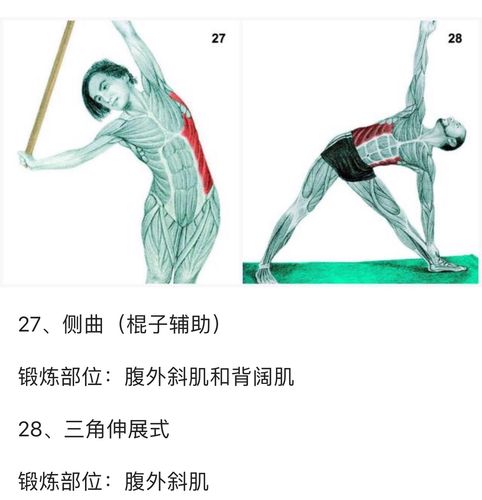 高尔夫球腰部运动技术分析